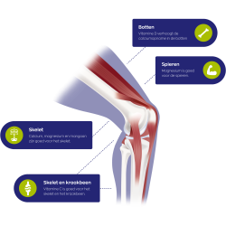 Atrimove® Glucosamine Chondroïtine MSM