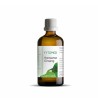 Koreaanse Ginseng Bio (Panax ginseng)