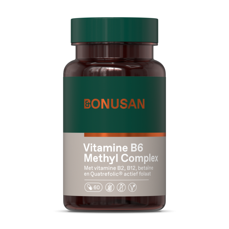Vitamine B6 Methyl Complex