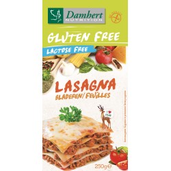 Gluten Free Lasagna