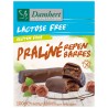 Lactose Free Praliné Repen Gluten Free