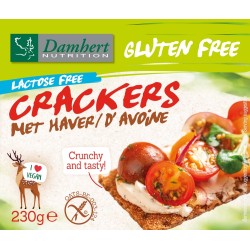 Gluten Free Crackers Haver Lactose Free