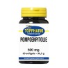 Pompoenpitolie 500 mg