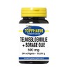 Teunisbloemolie + borage olie 500 mg