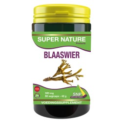 Blaaswier 500 mg puur 250 mcg jodium