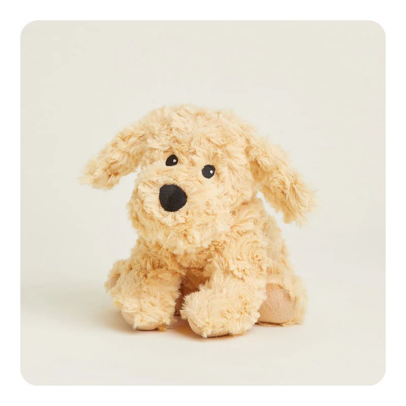 Mini Golden Retriever