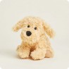 Mini Golden Retriever