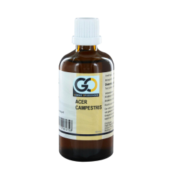 Go Acer Campestris Bio