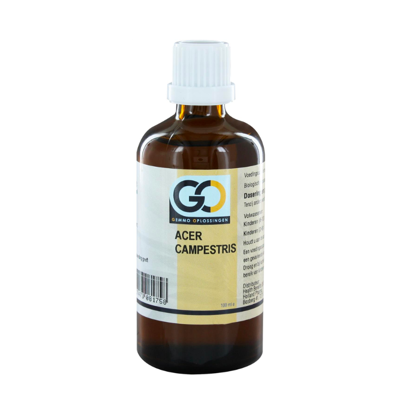 Go Acer Campestris Bio