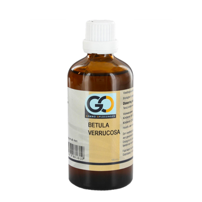 Go Betula Verrucosa Bio