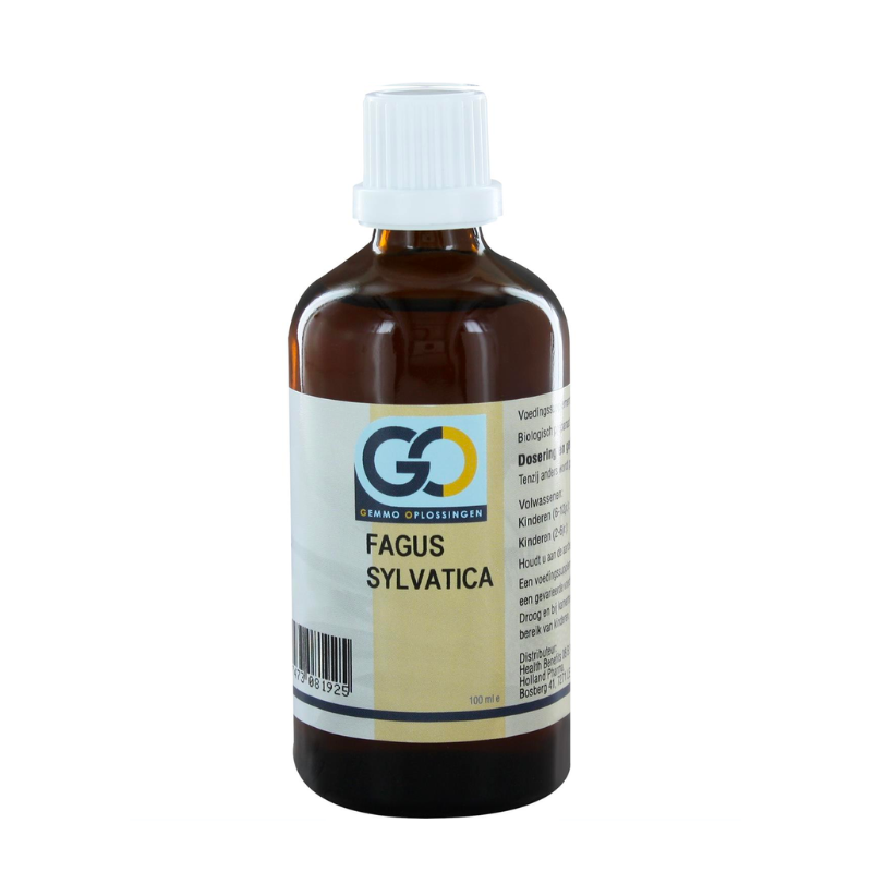 Go Fagus Sylvatica Bio