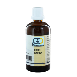 Go Ficus Carica Bio