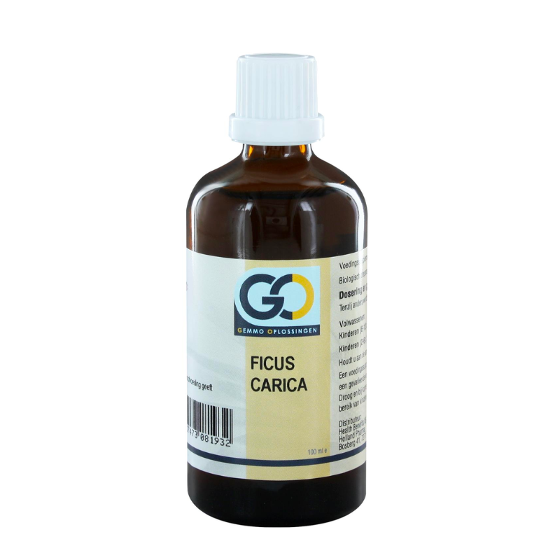 Go Ficus Carica Bio