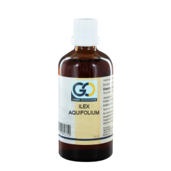 Go Ilex Aquafolium Bio