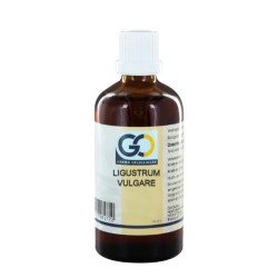 Go Ligustrum Vulgare Bio