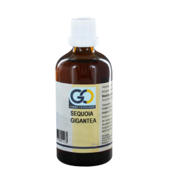 Go Sequoia Gigantea Bio