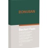 Bacteri Fem