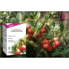 Cranberry plus
